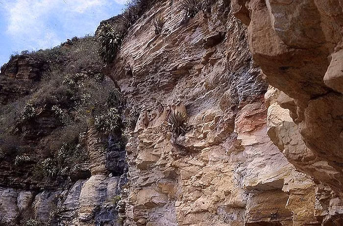 Cách thành phố Chachapoyas, được gọi theo tên cổ từ thời đại của đế chế Inca 30 dặm là khu vực thung lũng Utcubamba hoang vu và hiểm trở. Năm 1928, một trận động đất tương đối lớn đã vô tình làm phát lộ những bí mật ẩn chứa nơi đây trong suốt 600 năm.