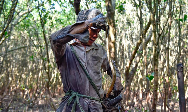 Còn tại các nhà hàng hải sản, cá nhệch được niêm yết giá từ 600.000 – 700.000/kg