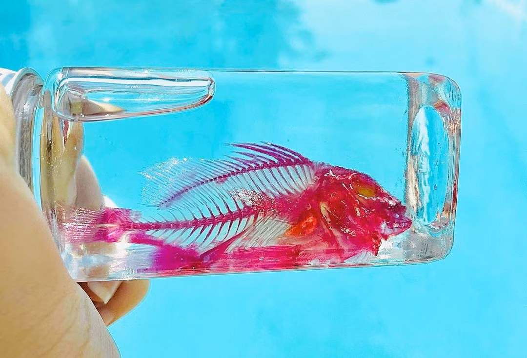 Co gai 17 tuoi dam me nhuom xuong dong vat