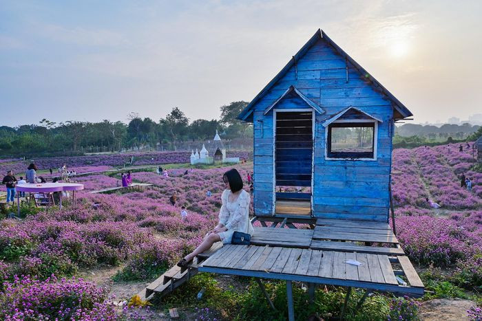 br/> Nhờ diện tích rộng lớn, nơi đây không xuất hiện tình trạng chen chúc. Mọi người thường lựa chọn những địa điểm thoáng để chụp ảnh.