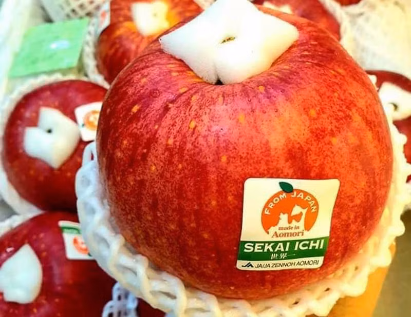 Vuot nui da san dan chuot khong lo... chuyen la ngay Ha Noi-Hinh-3