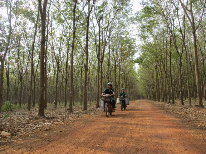 Vang trang hoi sinh, nguoi trong kiem tien ti