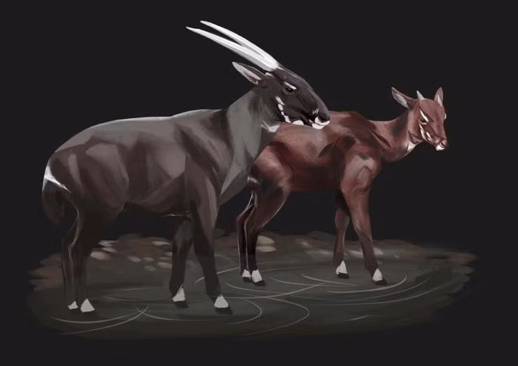  7. Sao la được ví như "kỳ lân của châu Á". Vì vẻ ngoài hiếm có và khả năng ẩn mình đáng kinh ngạc, Sao la được truyền thông gọi bằng biệt danh "kỳ lân châu Á", biểu tượng cho sự huyền bí của thiên nhiên Đông Nam Á. Ảnh: Pinterest.