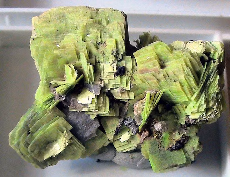  5. Có cấu trúc dạng phiến mỏng dễ vỡ. Autunite kết tinh thành các lớp mỏng dạng phiến, giúp nó có vẻ ngoài óng ánh đặc biệt. Tuy nhiên, đặc điểm này cũng khiến nó dễ vỡ và khó bảo quản. Ảnh: Pinterest.