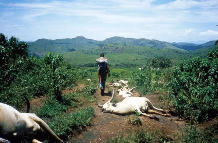  6. Người sống sót kể lại cảm giác như “bị bóp cổ”. Những người may mắn sống sót cho biết họ bất ngờ ngất lịm đi sau khi cảm thấy ngột ngạt và khó thở – tất cả chỉ trong vài giây, như thể có một bàn tay vô hình đang siết lấy cổ họ. Ảnh: Pinterest.