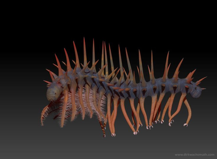  4. Có họ hàng với nhóm động vật hiện đại. Nghiên cứu gần đây cho thấy Hallucigenia có quan hệ với nhóm động vật hiện đại gọi là Tardigrada (gấu nước) và nhóm giun nhung Onychophora. Ảnh: Pinterest.