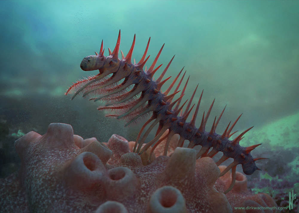  8. Là một trong những sinh vật bí ẩn nhất kỷ Cambri. Dù đã có nhiều nghiên cứu về Hallucigenia, nhưng các nhà khoa học vẫn chưa hoàn toàn hiểu hết về cách nó sống và phát triển trong môi trường biển cổ đại. Ảnh: Pinterest.