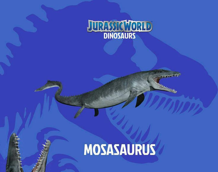  8. Trở nên nổi tiếng nhờ loạt phim “Jurassic World”. Hình ảnh Mosasaurus trong các bộ phim bom tấn đã giúp công chúng biết đến loài sinh vật biển cổ đại này nhiều hơn. Ảnh: Pinterest.