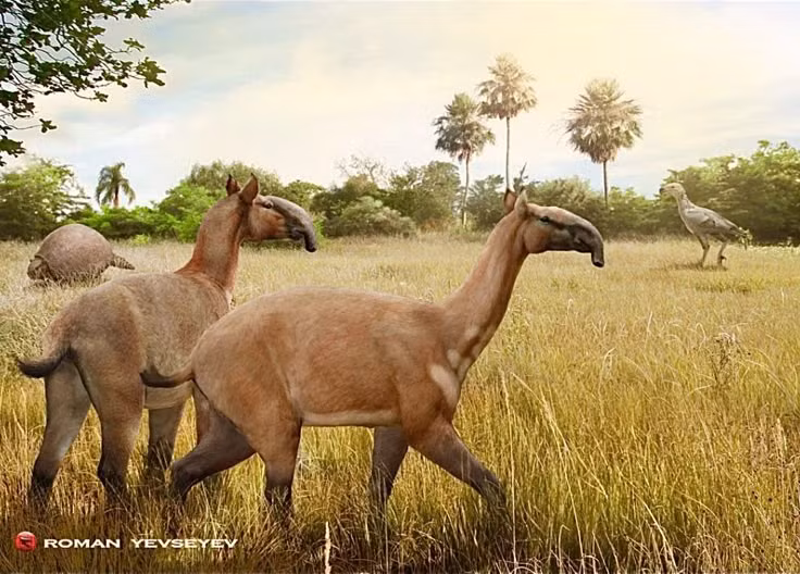  8. Chúng có thể là nạn nhân của sự tuyệt chủng do con người. Macrauchenia có thể đã bị tuyệt chủng bởi sự săn bắn của con người cổ đại khi họ đến Nam Mỹ, kết hợp với thay đổi khí hậu. Ảnh: Pinterest.