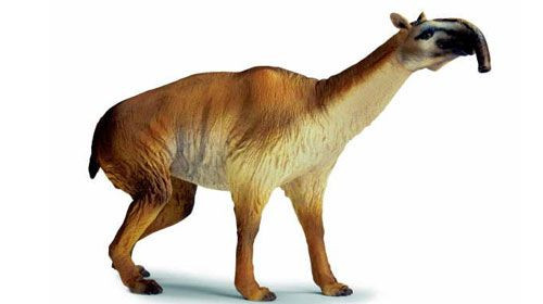  2. Chiếc mũi kỳ lạ trông như vòi voi. Các nhà khoa học cho rằng cái mũi dạng vòi của Macrauchenia có thể để giúp chúng thở dễ dàng hơn bơi lội hoặc hỗ trợ chúng khi ăn cỏ, tương tự vòi voi. Ảnh: Pinterest.