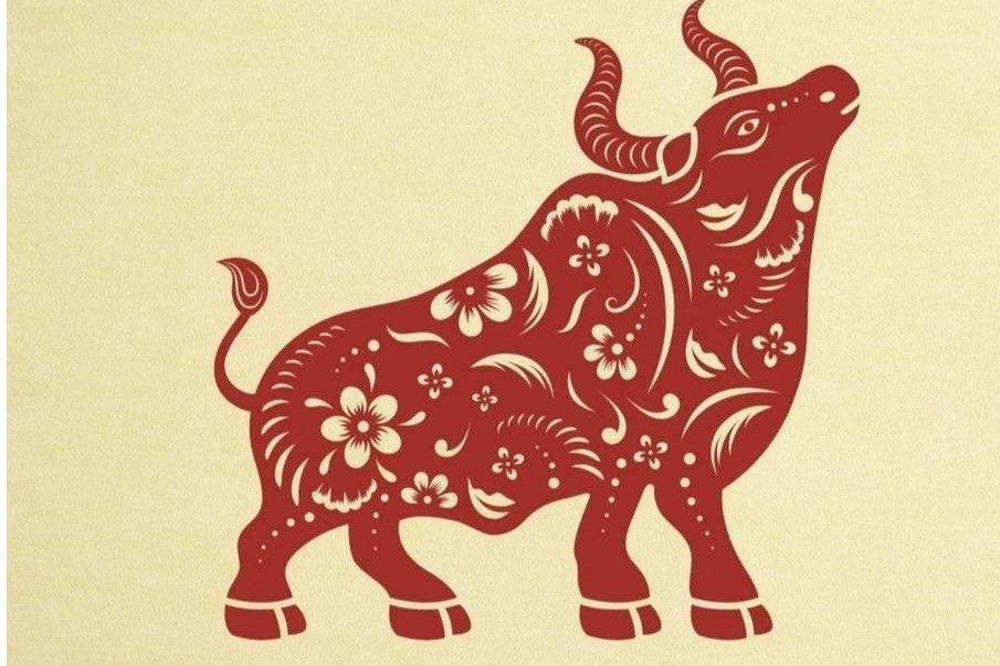  Tuổi Sửu: Vững vàng đi lên, tiền tài ngập lối. Vốn nổi tiếng là con giáp chăm chỉ, chắc chắn và kiên trì, người tuổi Sửu bước vào tháng 5 với một bước ngoặt lớn về tài vận. 