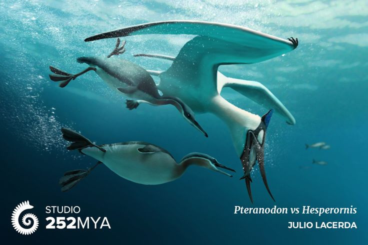  7. Là bằng chứng chuyển tiếp trong tiến hóa của chim. Với đặc điểm vừa giống chim, vừa giống bò sát như răng và đuôi dài, Hesperornis giúp các nhà cổ sinh học hiểu rõ hơn về quá trình tiến hóa từ khủng long sang chim hiện đại. Ảnh: Pinterest.
