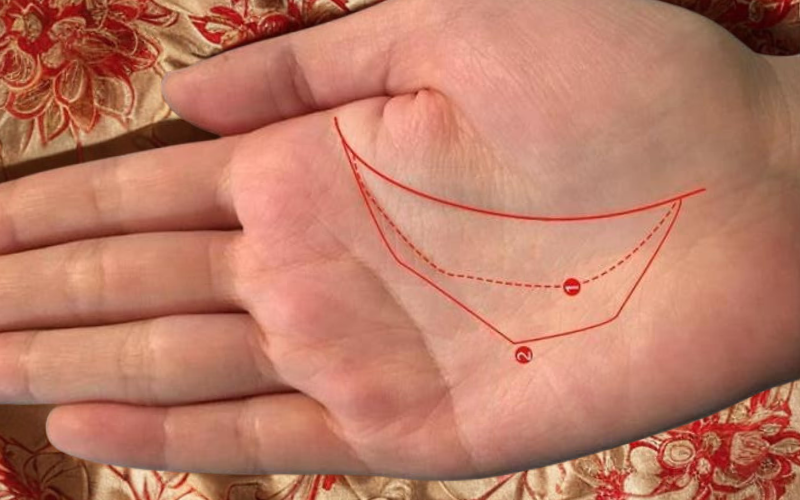 2 duong tai loc tren ban tay, ai co khong lo thieu tien-Hinh-2