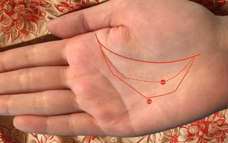 2 duong tai loc tren ban tay, ai co khong lo thieu tien-Hinh-2