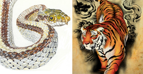  Người tuổi Tỵ rất thông minh và luôn thích gây sự một cách lén lút, trong khi người tuổi Dần lại thẳng thắn và không thể chịu đựng được sự đâm sau lưng như vậy. Hơn nữa, cả hai bên đều rất mạnh và không chịu nhượng bộ nhau. Sau khi kết hôn, sự đối đầu, đánh nhau liên miên là điều không thể tránh khỏi.