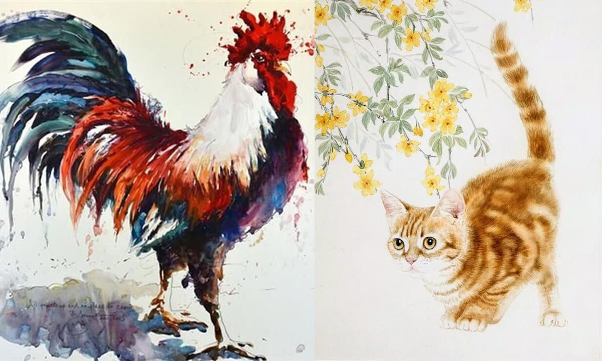 Người tuổi Mão mong nhận được sự quan tâm tỉ mỉ, trong khi người tuổi Dậu theo đuổi sự tự do và không gian.