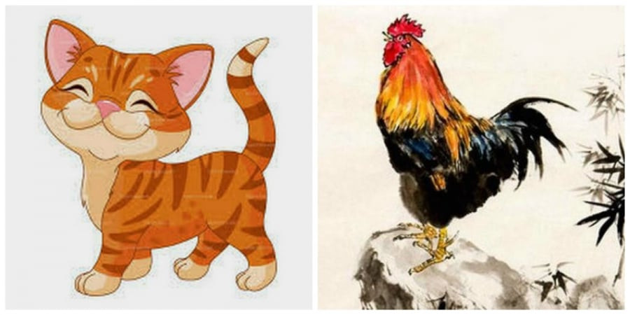 Người tuổi Mão và tuổi Dậu: Sự gặp gỡ giữa sự phụ thuộc mạnh mẽ và sự độc lập mạnh mẽ. Người tuổi Dậu là người mạnh mẽ, độc lập và không thích bị gò bó.