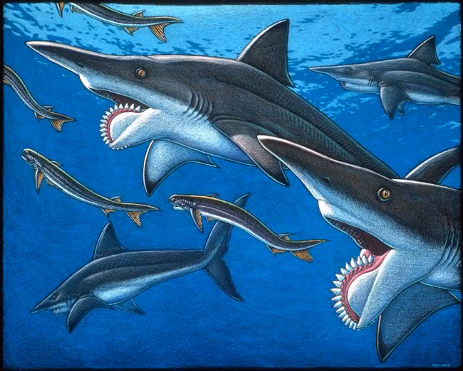  2. Sinh sống cách đây khoảng 290 triệu năm. Helicoprion xuất hiện trong kỷ Permi – trước cả khủng long – và từng là loài săn mồi hàng đầu dưới đáy biển sâu thời đó. Ảnh: Pinterest.
