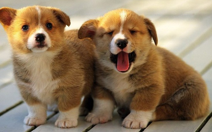  Tài lộc cũng đạt đỉnh điểm trong tháng này: Cả thu nhập chính và phụ đều dồi dào, số dư tài khoản tăng đều đặn, xua tan mọi áp lực tài chính. Sự kiên trì của bạn cuối cùng cũng được vận mệnh đền đáp. 