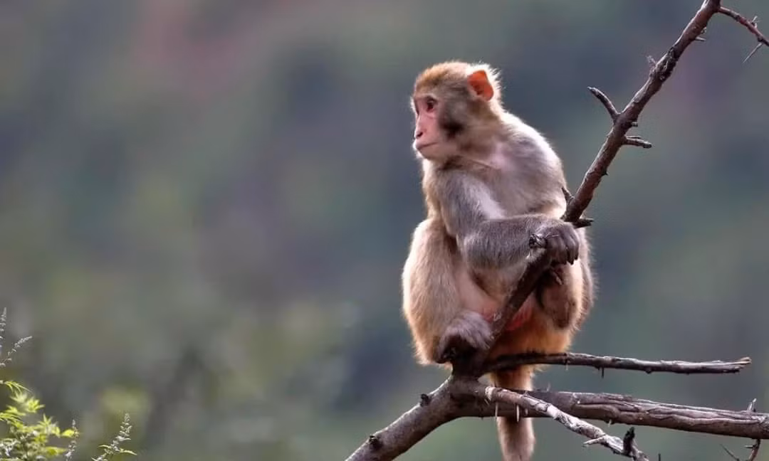  Công việc không quá áp lực, phù hợp để nghỉ ngơi và tái tạo năng lượng. Tình cảm ấm áp, gia đình mang lại niềm vui lớn. Sức khỏe ổn định, chú ý giữ lối sống lành mạnh.