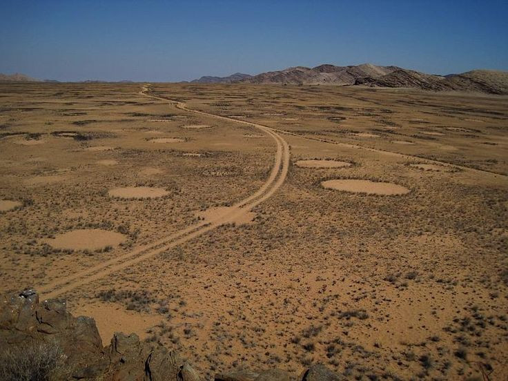  1. Xuất hiện nhiều nhất ở châu Phi và Úc. Vòng tròn thần tiên phổ biến nhất tại sa mạc Namib ở châu Phi và các khu vực khô cằn ở Úc. Những vòng tròn này có thể tồn tại hàng chục năm mà không có sự thay đổi đáng kể. Ảnh: Pinterest.