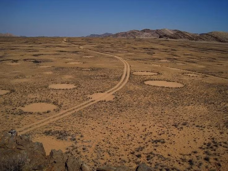  1. Xuất hiện nhiều nhất ở châu Phi và Úc. Vòng tròn thần tiên phổ biến nhất tại sa mạc Namib ở châu Phi và các khu vực khô cằn ở Úc. Những vòng tròn này có thể tồn tại hàng chục năm mà không có sự thay đổi đáng kể. Ảnh: Pinterest.