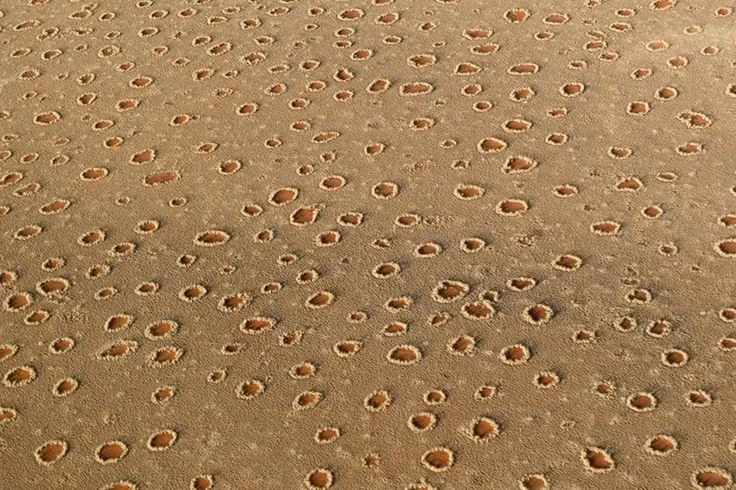  3. Chưa có lời giải thích hoàn toàn chính xác. Dù có nhiều giả thuyết khác nhau về nguyên nhân hình thành, nhưng đến nay, các nhà khoa học vẫn chưa thể khẳng định chắc chắn lý do tại sao hiện tượng này lại xảy ra. Ảnh: Pinterest.