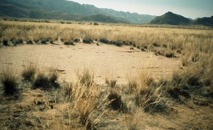  8. Hiện tượng này vẫn đang được nghiên cứu. Dù có nhiều giả thuyết khác nhau, nhưng các nhà khoa học vẫn chưa hoàn toàn hiểu rõ về nguồn gốc và cơ chế hình thành của các vòng tròn thần tiên. Những nghiên cứu mới đang tiếp tục để giải mã bí ẩn này. Ảnh: Pinterest.