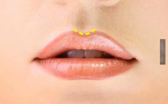  8. Môi trên không có rãnh rõ ràng: bạn là người rất có trách nhiệm và đáng tin cậy, dù thế nào đi nữa bạn cũng phải đạt được sứ mệnh của mình. Không bao giờ có ba từ không thể trong từ điển của bạn. Thời hạn căng thẳng đối với nhiều người không là gì đối với bạn vì bạn nhất định phải hoàn thành công việc vào thời điểm đó. Bất cứ ai biết bạn đều biết bạn đáng tin cậy như thế nào. 