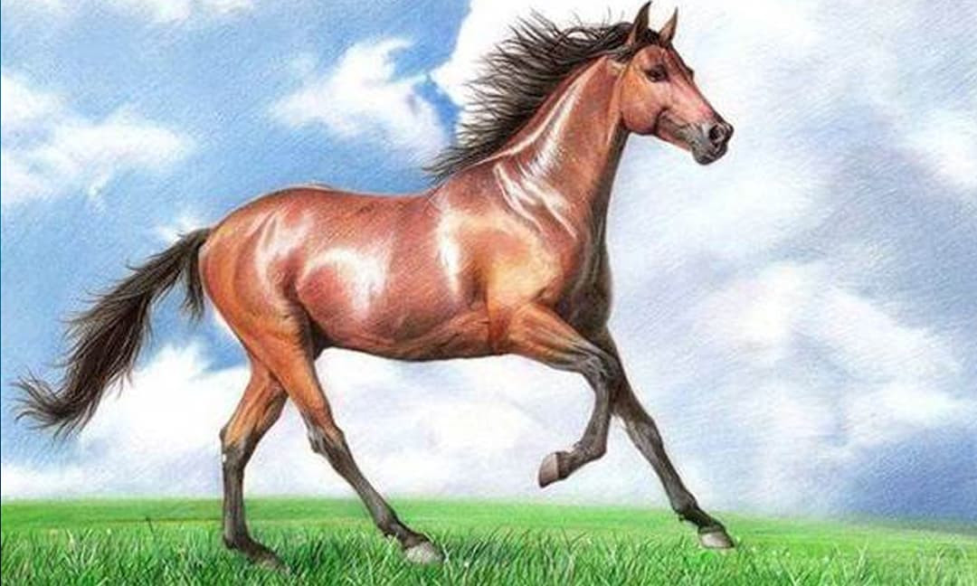 Những người tuổi Ngọ nên học cách thư giãn, không nên tạo quá nhiều áp lực cho bản thân, bình tĩnh suy nghĩ khi gặp vấn đề, không nên hành động bốc đồng một cách mù quáng