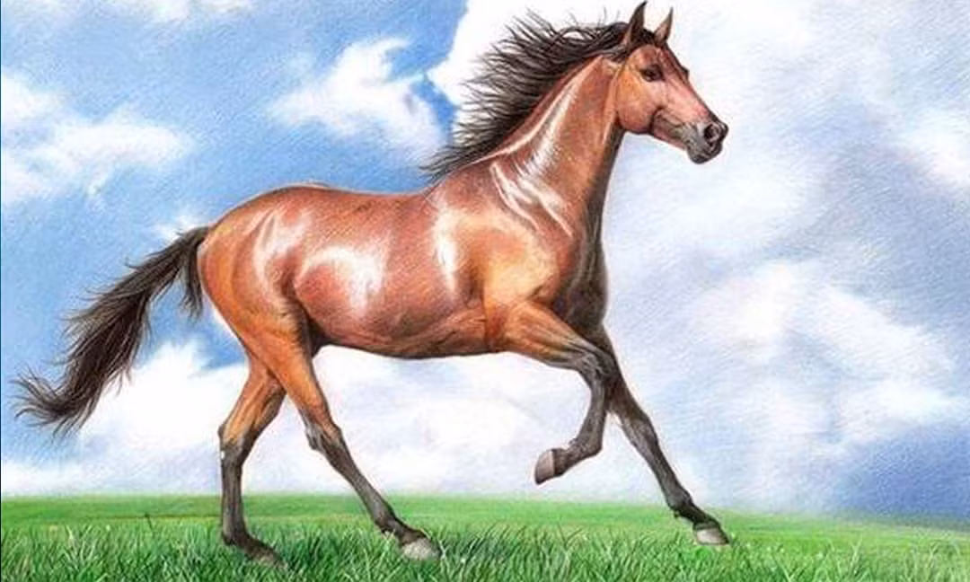 Những người tuổi Ngọ nên học cách thư giãn, không nên tạo quá nhiều áp lực cho bản thân, bình tĩnh suy nghĩ khi gặp vấn đề, không nên hành động bốc đồng một cách mù quáng