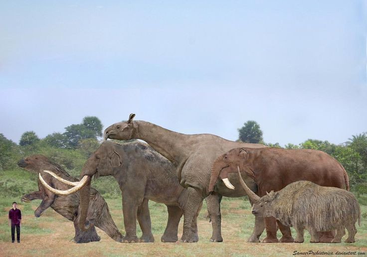  8. Là nguồn cảm hứng cho nhiều quái thú giả tưởng. Với kích thước và ngoại hình kỳ vĩ, Paraceratherium từng là hình mẫu cho nhiều sinh vật trong phim ảnh và tiểu thuyết khoa học giả tưởng. Ảnh: Pinterest.