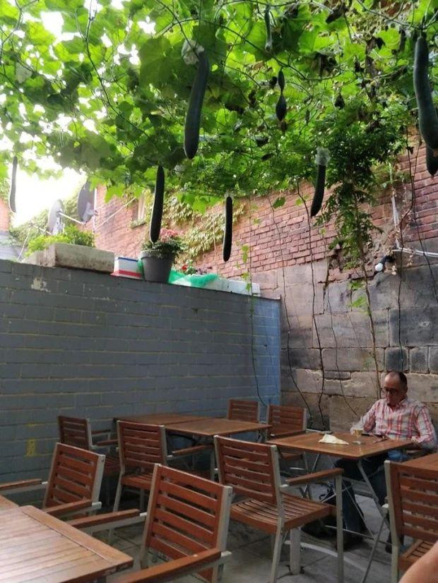 hông biết đây là nhà hàng hay sân vườn nhà hàng xóm nữa.