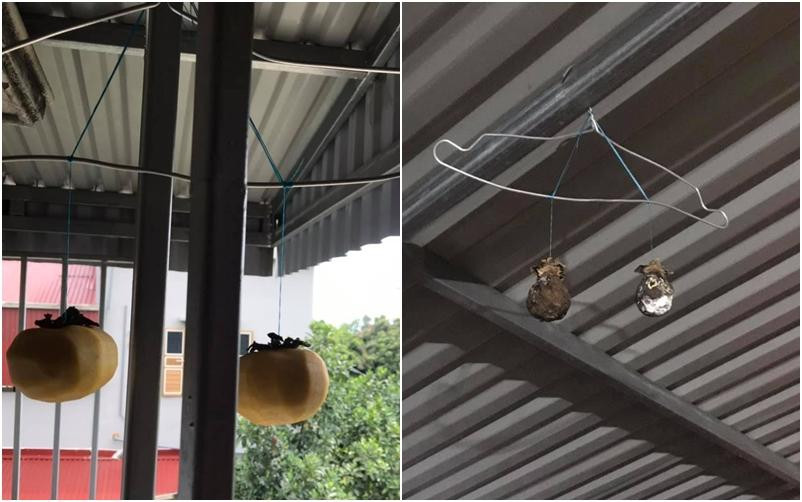 ồng treo gió nhưng gió này có vẻ hơi "độc" nhỉ?