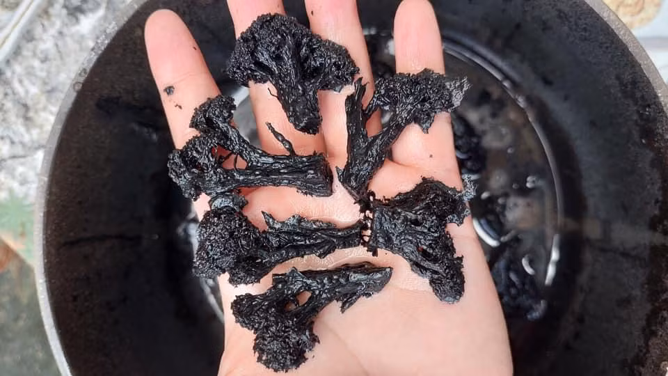 Em khẳng định cái việc luộc/hấp súp lơ nó rất đơn giản nhưng là với mọi người, còn vào tay em thì chưa chắc…