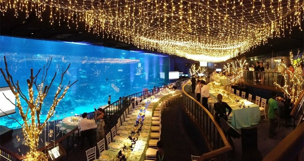 Với không gian hiện đại, kiến trúc độc đáo, cầu thang đa chiều sống động, Thủy cung SEA cho bạn cảm giác như đang thực sự đi dưới đáy đại dương. Thư giãn với những chú cá tung tăng, có thể bạn sẽ sợ hãi khi đối đầu với đàn cá mập hung dữ, bơi ngay trước mắt. Hoặc bạn không thể cưỡng lại mà dừng chân trước vẻ đẹp quyến rũ của những đàn sứa đủ màu sắc đang bơi lội trong làn nước xanh thẳm, hãy thả sức tưởng tượng và tận hưởng cảm giác vẫy vùng giữa biển khơi.
