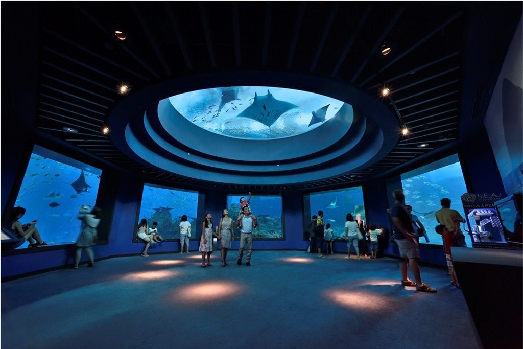 Từ lối vào chính, bạn sẽ thấy 10 khu vực bể đại dương nhân tạo được thiết kế giống như 49 vùng biển khác nhau trên thế giới, bao gồm Đông Nam Á, eo biển Karimata, biển Java, eo biển Malacca, vịnh Belgan, biển Đỏ và những vùng biển xa xôi và thú vị khác. Hầu hết mọi sinh vật biển trên thế giới đều được trưng bày tại đây. Trong số đó, khu vực được nhiều người tham quan nhất là bể cá khổng lồ ở trung tâm. Bể cá được tạo thành từ nhiều mặt kính trong suốt, cao 8,3 mét và rộng 36 mét. Bạn có thể nhìn thấy nhiều loại sinh vật biển từ lạ đến quen như cá mập, cá heo, cá đuối… Cả thế giới đại dương thu vào tầm mắt, mang đến cho bạn cảm giác rất thật.