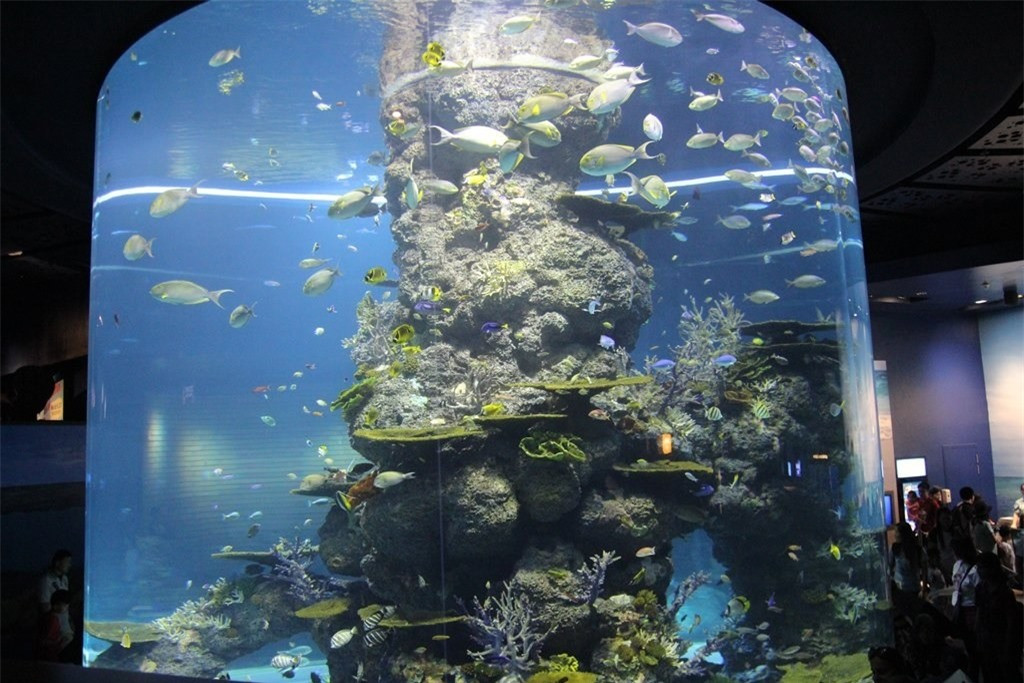 Khai trương vào tháng 11/2012 nằm trên Đảo Sentosa và có thể chứa khoảng 42,8 triệu lít nước. Khi đến với Thủy cung SEA, bạn sẽ không khỏi ngạc nhiên khi được chiêm ngưỡng thế giới đại dương kỳ vĩ với hơn 100.000 loài sinh vật biển thuộc 800 loài khác nhau và 20.000 loài san hô đầy màu sắc. Không những thế, thủy cung còn sở hữu dòng sông lười dài nhất thế giới, với chiều dài khoảng 620 mét. Với hệ thống cửa sổ kính pha lê, bạn sẽ tha hồ ngắm nhìn bộ sưu tập sinh vật biển vô cùng đa dạng.