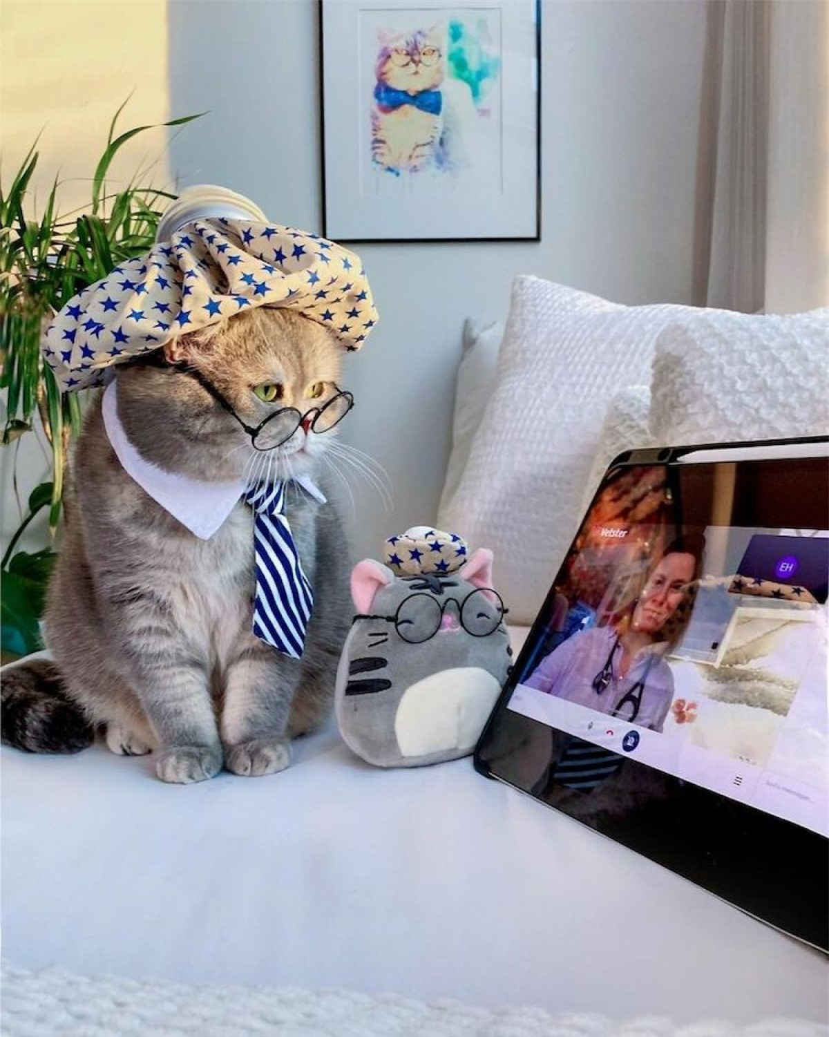 Benson có khá nhiều người hâm mộ riêng trên Instagram.