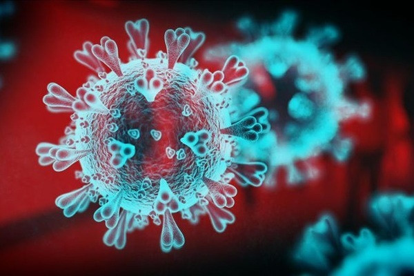 Phát hiện phiên bản "tàng hình" của siêu biến chủng Omicron ảnh 1