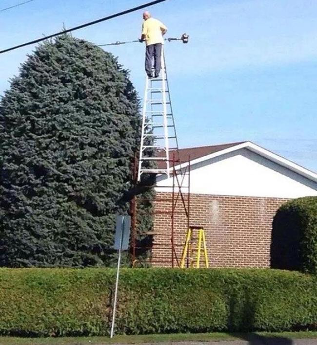 Đứng trên này công nhận "phiêu" thật.