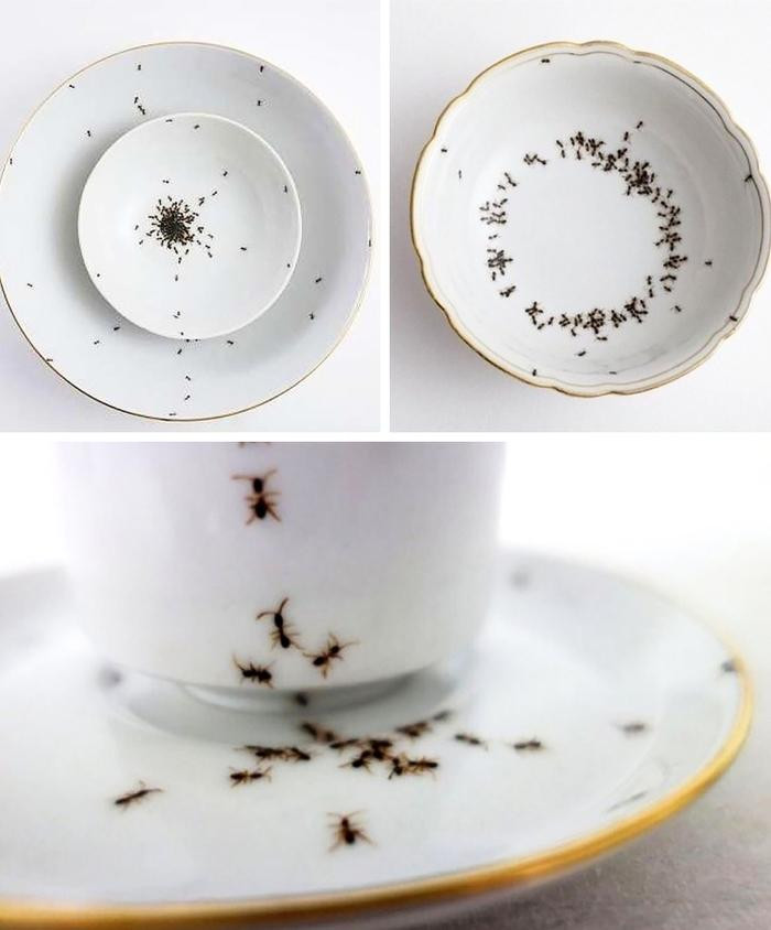 Không biết thiết kế họa tiết đàn kiến có làm món ăn trở nên ngon hơn không?