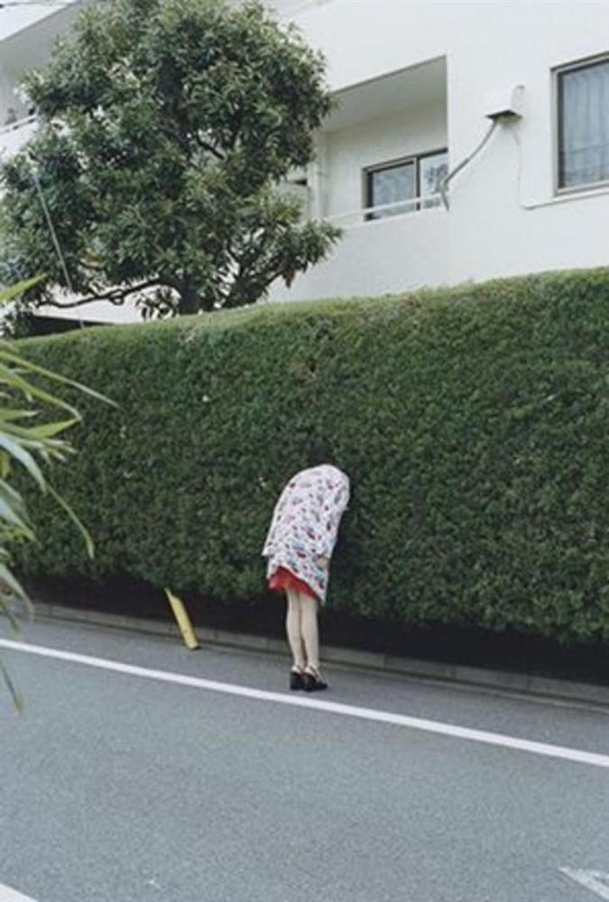 br/> Khoa học đã chứng minh, "bệnh ngã cây" có thể lây qua đường không khí. Và nếu sống gần và đặc biệt chung sống với một người lúc nào cũng hành động ngớ ngẩn, con người ta sẽ phát điên lên vì hành động khó hiểu của họ. Thế nhưng bằng cách nào đó, họ - những con người "quạt trần rơi vào đầu" này vẫn có một cuộc sống yên bình, tiêu diêu tự tại. Và họ bị "team người qua đường" bắt gặp và chụp lại thế này đây. Ảnh: Mắt không thấy, tim không đau nên thôi úp mặt vào bụi cây luôn!?