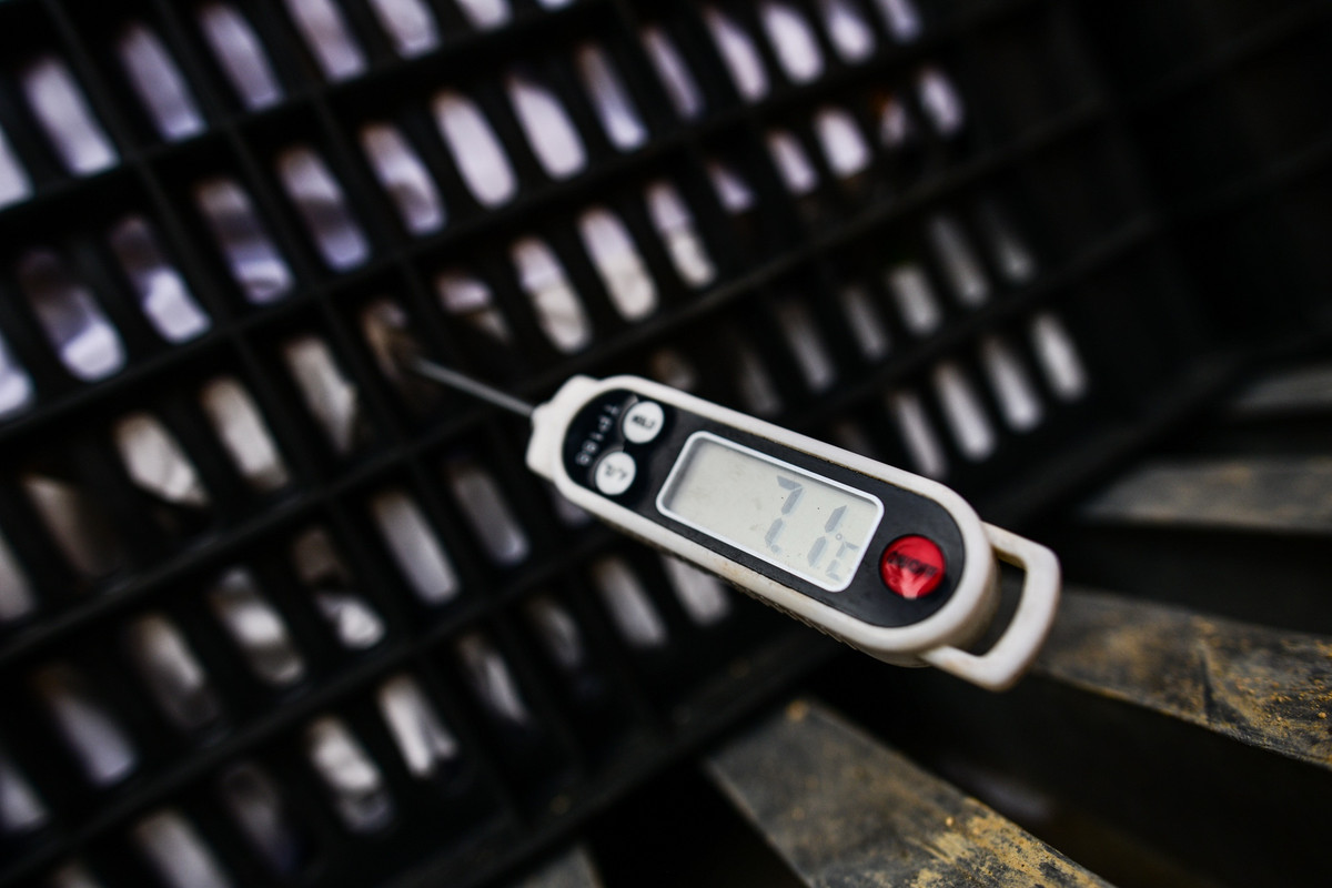 Mỗi ngày ông Chức chi trên dưới 1 triệu tiền dầu để chạy máy lạnh để giữ thanh long ổn định ở mức 6-8 độ C. Ông cũng cho biết nếu hàng hóa hư hỏng thì người phải chịu đền chính là các tài xế. "Giờ thì không ai biết khi nào thông quan được. Chỉ đợi vào may rủi", ông lắc đầu nói.