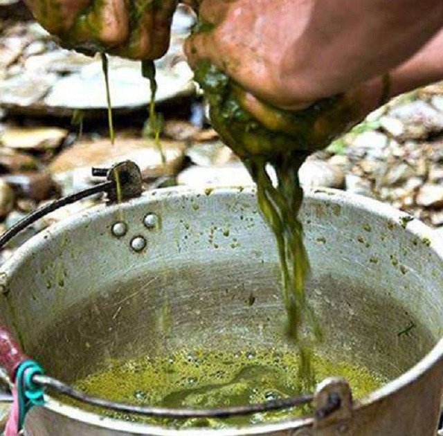 Tiếp theo đó, người ta sẽ lấy thức ăn đang tiêu hóa nửa chừng trong dạ dày và ruột non của con bò ra, ép lấy chất lỏng màu xanh. Chất lỏng màu xanh này sẽ được trộn với nhiều loại gia vị khác nhau như gừng, vỏ quýt, tiêu… cùng nhiều loại thảo mộc, đun trên lửa nhỏ.