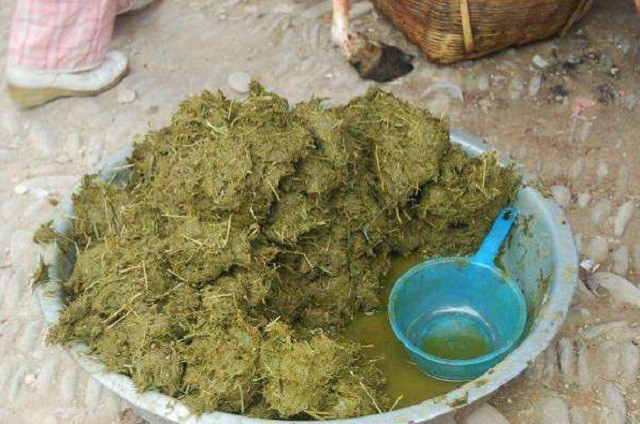 Người ta nói rằng, những con bò được cho ăn no sau đó nửa tiếng sẽ bị làm thịt. Không được phép để quá thời gian này, nếu không thức ăn trong dạ dày bò sẽ bị tiêu hóa hết.