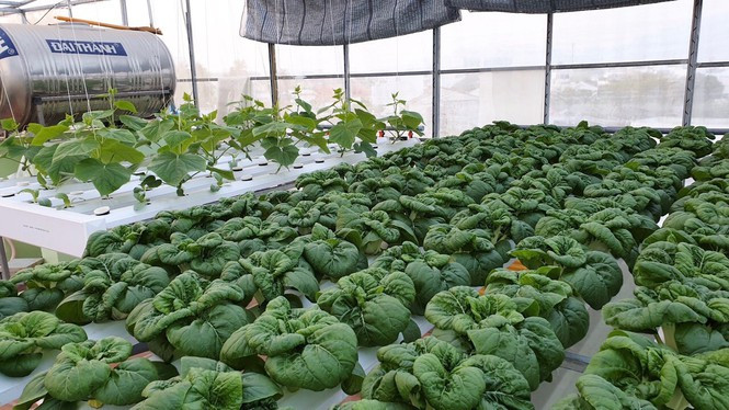 Gia dinh tre bien san thuong trong thanh 