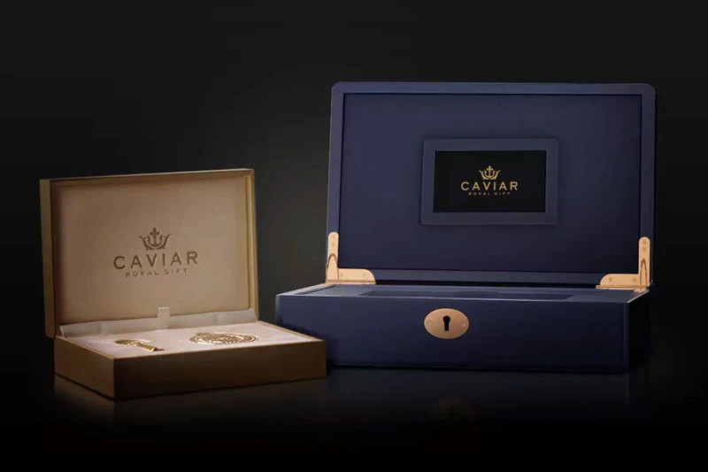 Từ vẻ đẹp tráng lệ của Nhà thờ Đức Bà cho đến sự kiện cháy lớn năm 2019 khiến cả thế giới tiếc nuối, rồi đến hành trình phục dựng đang diễn ra – tất cả được Caviar gói ghém vào một chiếc smartphone. Và với những ai đam mê sự độc lạ, hoài cổ nhưng vẫn thích "xài đồ xịn", đây là lựa chọn không thể bỏ qua (nếu túi tiền cho phép!).