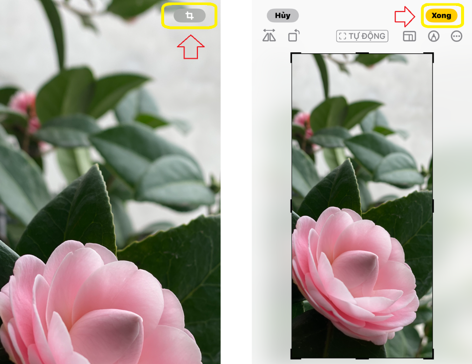 Cắt ảnh bằng một chạm Trong iOS 17 hoặc mới hơn, khi bạn zoom ảnh trong thư viện, một nút "Cắt" sẽ hiện ra ngay góc trên. Bấm vào đó để chỉnh sửa nhanh.