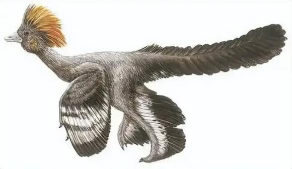 Tai sao ga mai khong noi gian khi trung cua minh bi lay mat?-Hinh-4